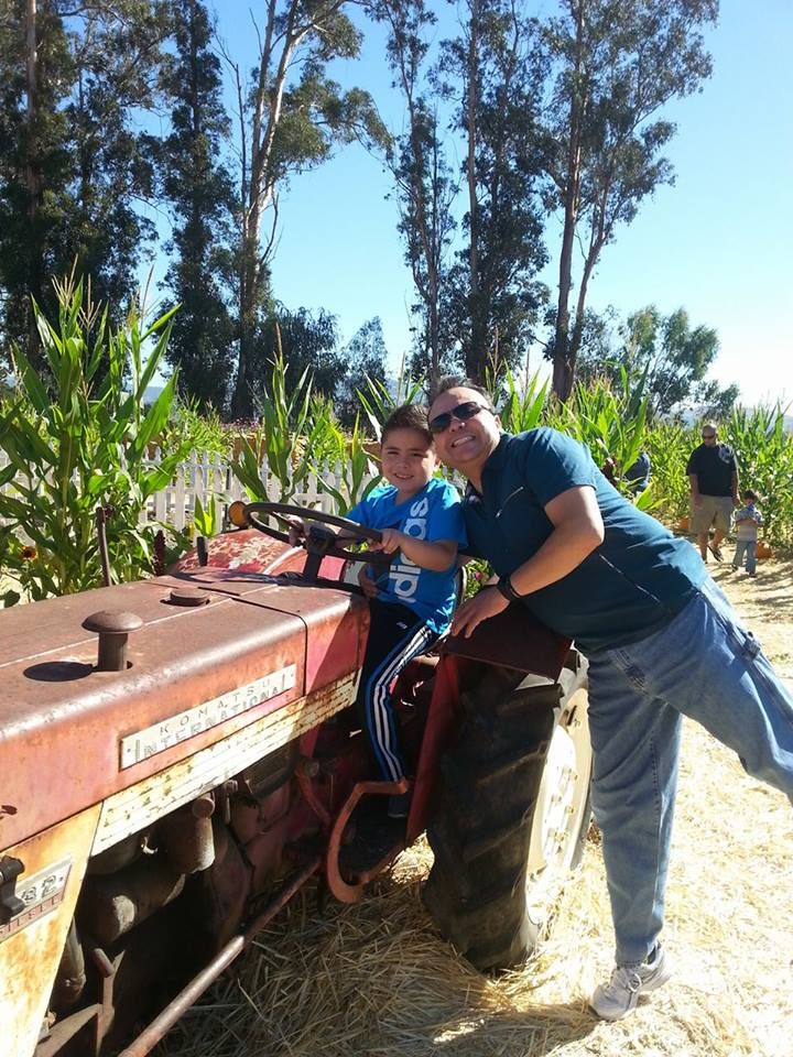 Picking Pumpkins 2015